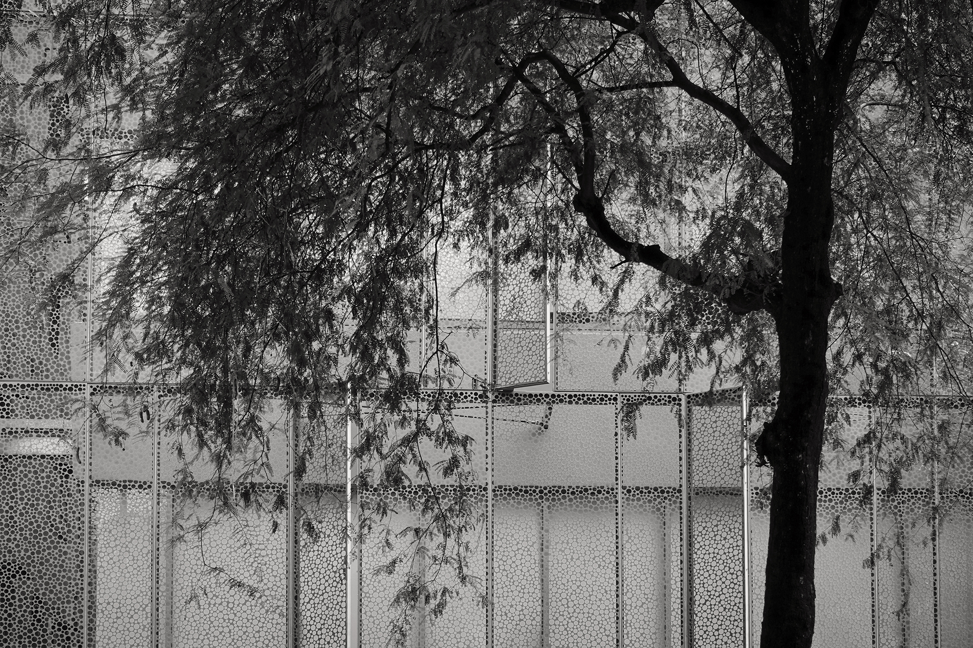 Christoph Radke, Vietnam, Saigon, modernes Gebäude hinter Bäumen, 2018